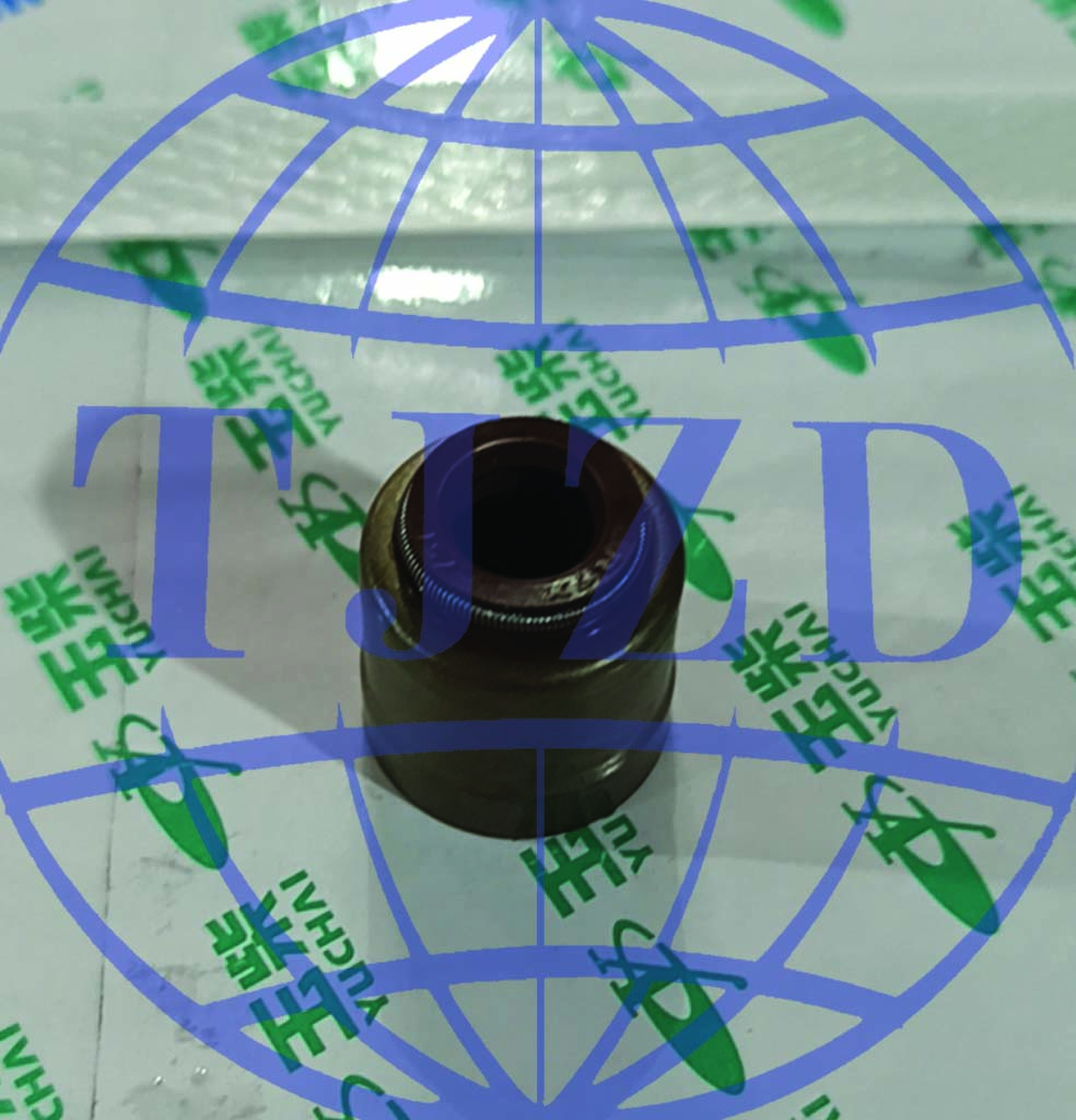 LND00-1003105A  Колпачек маслосъемный? на Вогобас  